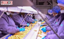 Vali Canbolat, Köşk’te gıda tesisini inceledi