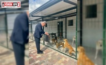 Başkan Yıldırımkaya: "Sultanhisar’da can dostlar emin ellerde"