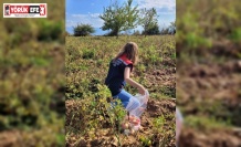 Buharkent’te hasat öncesi pestisit denetimleri sürüyor