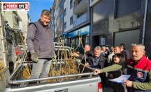 Germencik’te üreticiye 4 bin sertifikalı fidan desteği