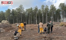 Kırşehir’den gelen üniversite öğrencileri Çine’de fidan dikti
