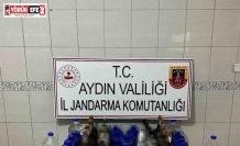 Aydın’da jandarmadan sahte alkol operasyonu