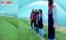 Aydın’da salep orkidesi üretimi büyüyor