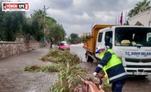 Didim Belediyesi sahada çalışmalarını sürdürüyor