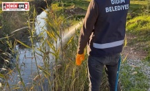 DİDİM’DE HALK SAĞLIĞI İÇİN VEKTÖRLERE KARŞI ETKİN MÜCADELE