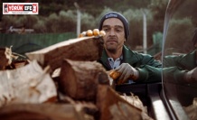 Kuşadası’nda ağaç atıkları ihtiyaç sahipleri için yakacağa dönüşüyor