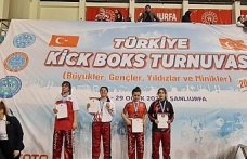 Aydınlı demir ayak, Türkiye ikincisi oldu