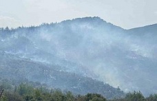 Bozdoğan’daki orman yangını kontrol altına alındı