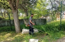Afrodisias Antik Kenti’nde ilaçlama çalışması başlatıldı