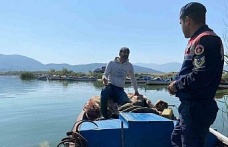 Bafa Gölü’nde doğal hayat Jandarmanın takibinde