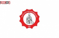 Alevi Hak Mücadelesi, Avrupa Hukuku ve Alevi Kültür Dernekleri Genel Merkezi