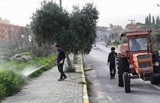 Bozdoğan’da yabani ot mücadelesi