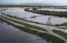Büyük Menderes nehrindeki taşkın karayolunu kapattı