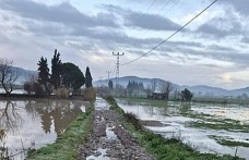 Söke’de aşırı yağışlar sonrası tarım alanlarında hasar tespiti