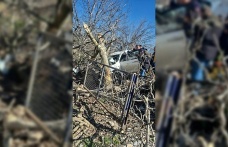 Kontrolden çıkan otomobil ağaçlara ok gibi saplandı: 2 ölü, 1 ağır yaralı
