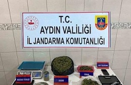 Bozdoğan’da uyuşturucu operasyonu: 1 tutuklama