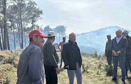 Başkan Özel yangınlara karşı uyardı: "Dikkatli...