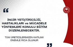 Buharkent’te incir üreticilerine özel eğitim toplantısı
