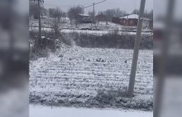 Aydın’ın yüksekleri beyaza büründü