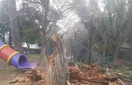 Bozdoğan’da ağaç devrildi, duvar çöktü: 2...
