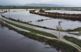Büyük Menderes nehrindeki taşkın karayolunu kapattı
