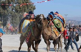 Deve güreşlerinde, "Bu sene mangal yakılmayacak, basın mensupları dışarıya çıkarılacak"
