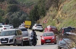 Aydın’da güneşi gören kendisini dışarı attı