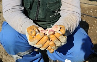 Başkan Çerçioğlu: Yerli üreticiyi korumak için...