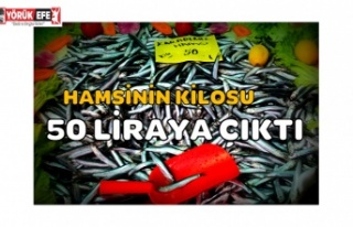 Hamsinin kilosu iki kat artarak 50 liraya çıktı
