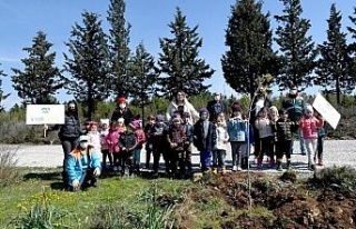 Minik eller fidanları toprakla buluşturdu