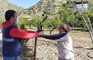 Aydın Büyükşehir Ejder Meyvesi fidanı dağıttı