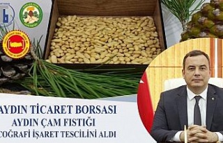 Aydın Çam Fıstığı, Coğrafi İşaret Tescilini...