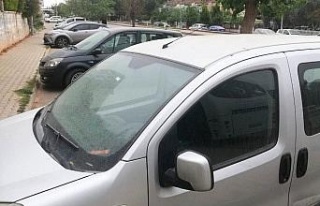 Aydın’da çamur yağışı etkili oluyor