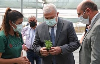 Başkan Atay, belediyenin tarım arazilerini inceledi