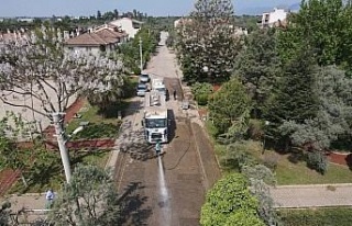 Efeler’de bahar temizliği