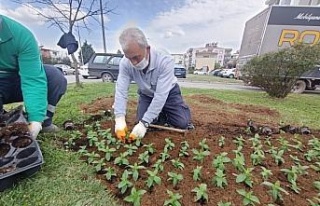 Efeler’in çiçekleri toprakla buluşuyor