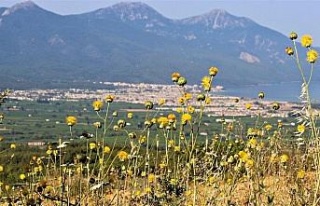 Tülüşah deneme parselinde değerlendirme toplantısı...