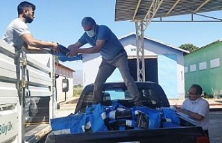 Aydın’da 6 ton sudan otu tohumu dağıtıldı