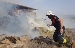 Aydın’da hayvan çiftliğinde yangın