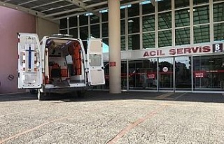 Aydın’da kardeş kavgası kanlı bitti