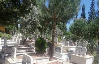 Aydın’da mezarlıklar boş kaldı