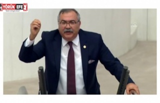 Bülbül"700 DEKAR ALAN HANGİ YANDAŞA SATILACAK"