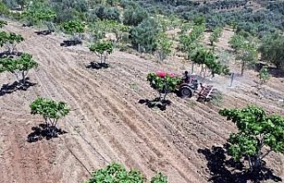 Çiftçiler gününü tarlada çalışarak geçirdiler