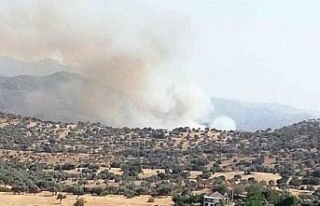 Çine’de arazi yangını