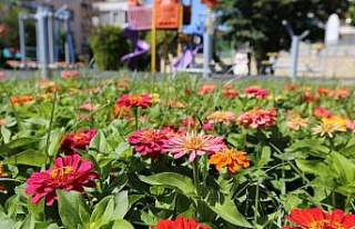 Efeler yeşil alan çalışmaları ile rengarenk oldu