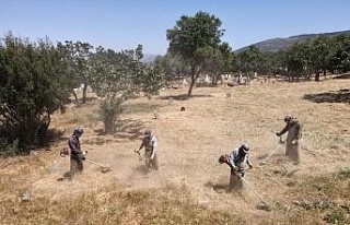 Efeler’de mezarlıklar temizlendi