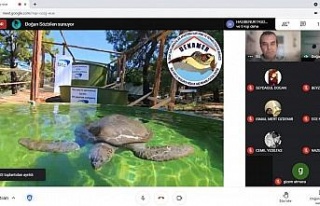 Karacasu’da deniz kaplumbağaları anlatıldı