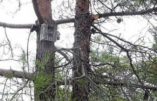 Milli Parklar Müdürlüğü’nden önemli açıklama