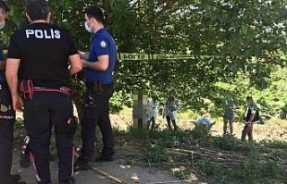 Polis ekipleri, ağaca asılı halde buldu