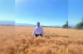Söke Borsa Başkanı Nejat Sağel: “Buğday fiyatları...